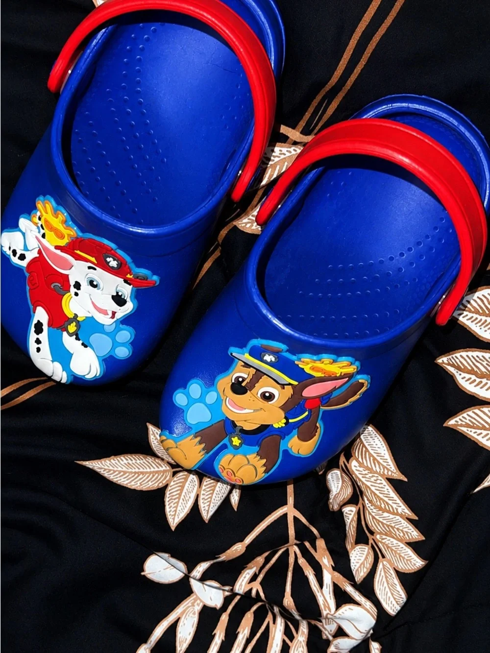 Kids Paw Patrol Character Crocs with Red Strap